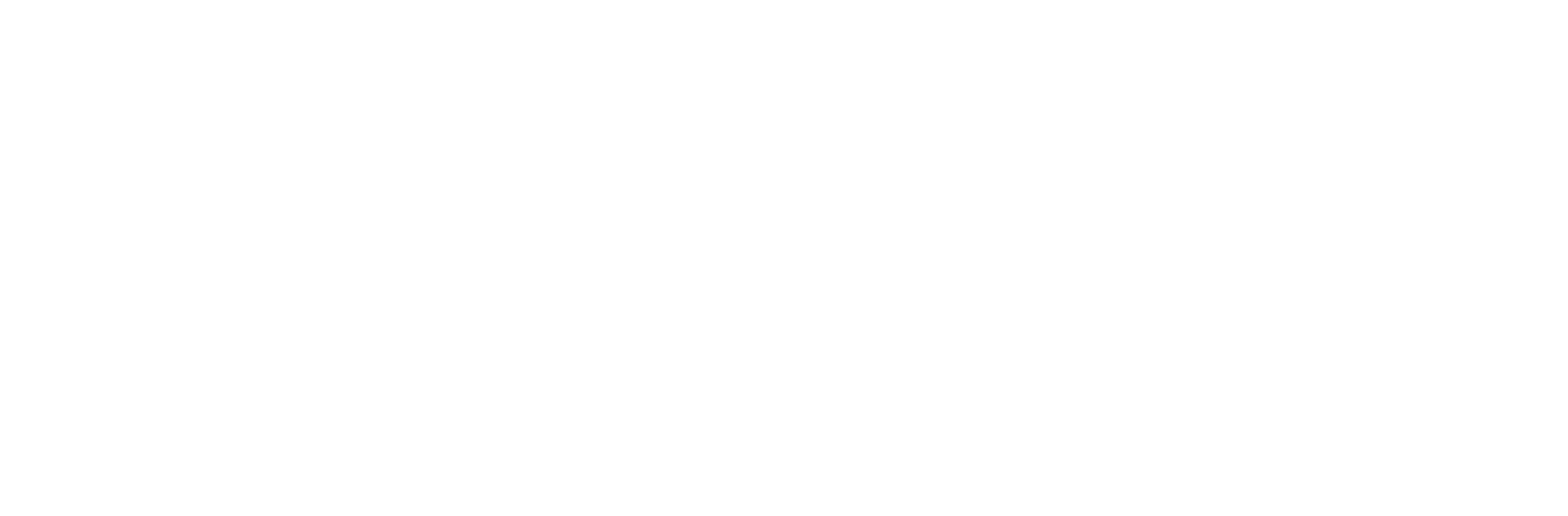 logo-white-2-scaled